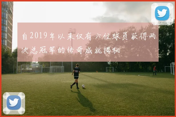 自2019年以来仅有六位球员获得两次总冠军的传奇成就揭秘
