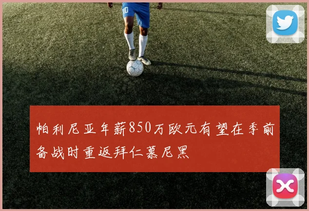 帕利尼亚年薪850万欧元有望在季前备战时重返拜仁慕尼黑